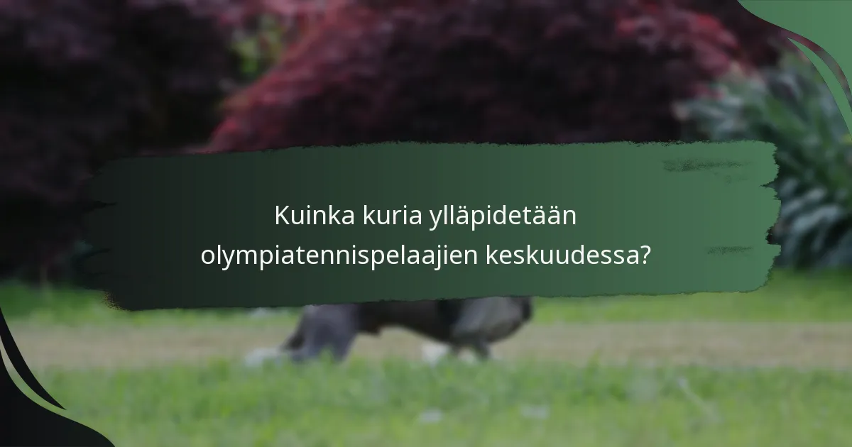 Kuinka kuria ylläpidetään olympiatennispelaajien keskuudessa?
